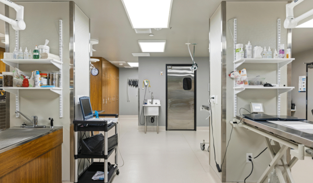 Abortion Clinic in Dubai