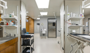 Abortion Clinic in Dubai